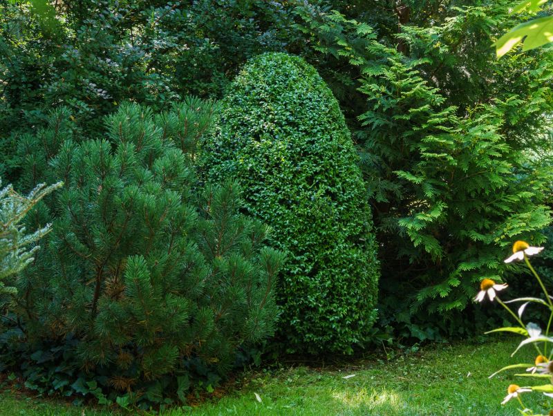Bush Installation