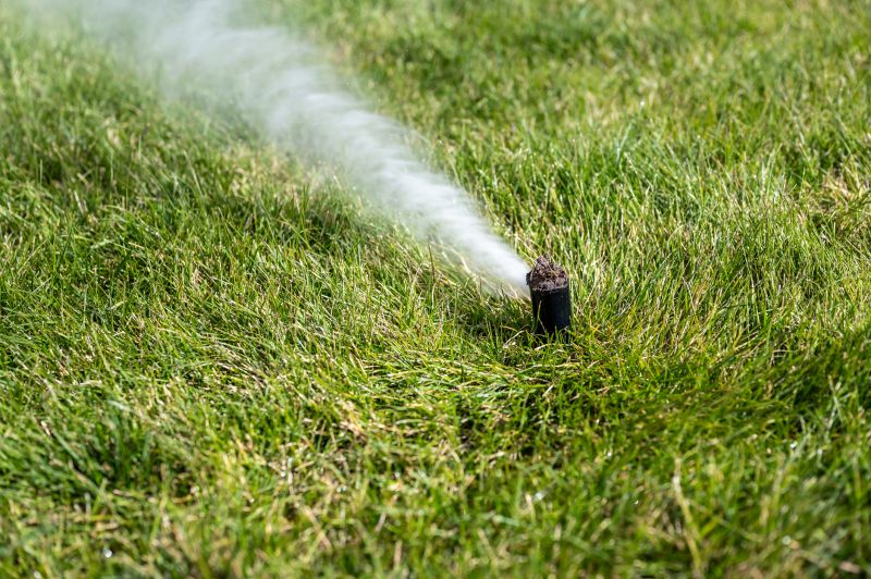 Lawn sprinkler system during winter