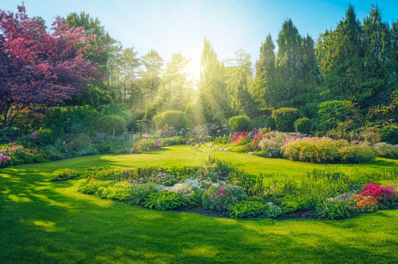 Pond Landscaping Service in Ventura County, CA